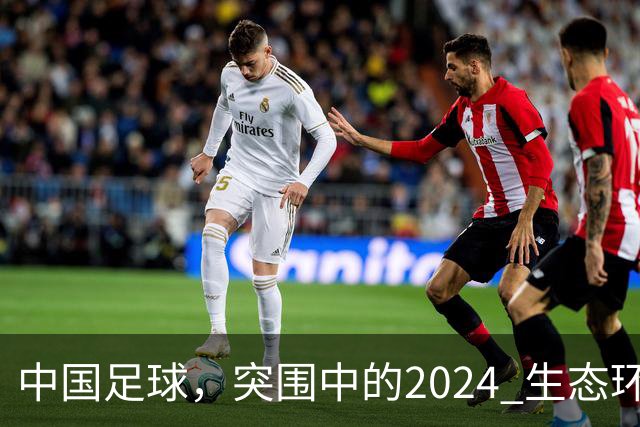 中国足球，突围中的2024 生态环境将实现好转